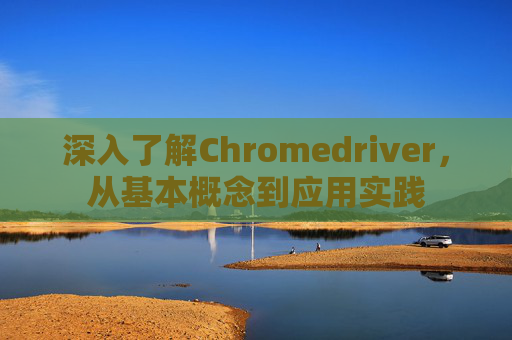 深入了解Chromedriver,从基本概念到应用实践 深入了解Chromedriver,从基本概念到应用实践